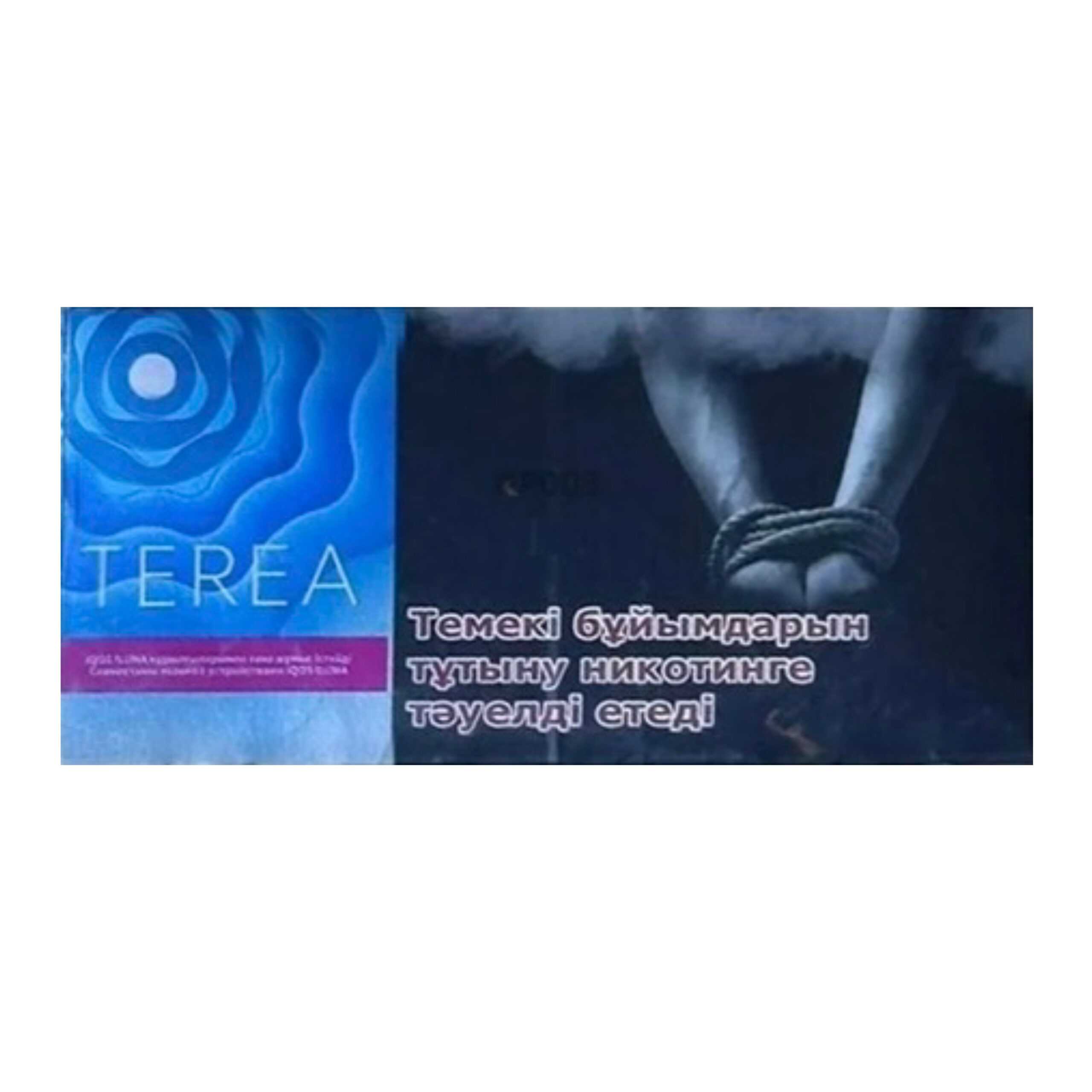 79B8C499-B673-4356-A185-FAC97E356885 TEREA Tidal Pearl carton, Uzbekistan edition — 10 packs of 20 sticks