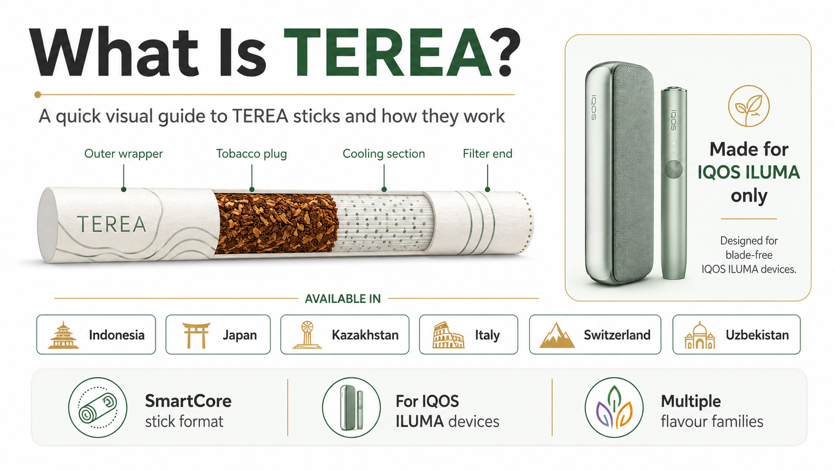 What is TEREA visual guide showing the stick format, IQOS ILUMA compatibility and origin markets