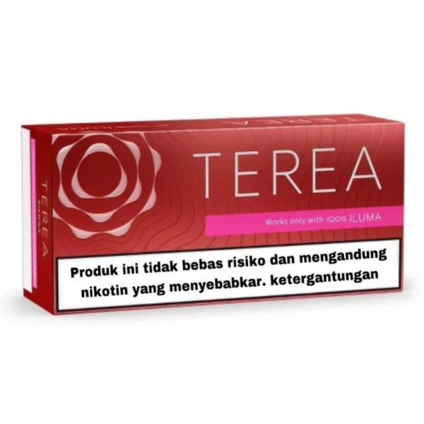 TEREA Sienna carton, Indonesia edition — 10 packs of 20 sticks