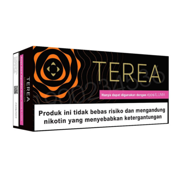 TEREA Golden carton, Indonesia edition — 10 packs of 20 sticks