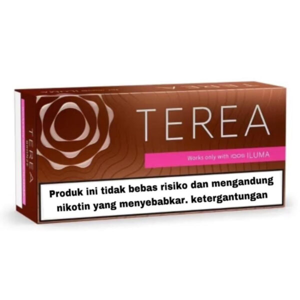 TEREA Bronze carton, Indonesia edition — 10 packs of 20 sticks