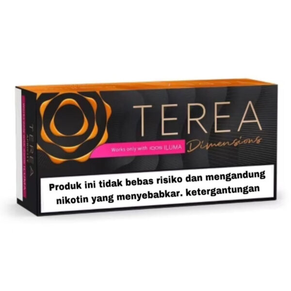 TEREA Dimensions Apricity carton, Indonesia edition — 10 packs of 20 sticks