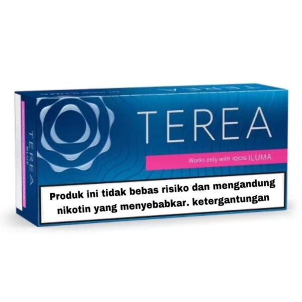 TEREA Blue carton, Indonesia edition — 10 packs of 20 sticks