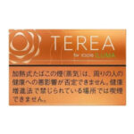TEREA Tropical Menthol carton, Japan edition — 10 packs of 20 sticks