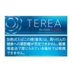 TEREA Rich Regular carton, Japan edition — 10 packs of 20 sticks