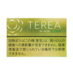 TEREA Bright Menthol carton, Japan edition — 10 packs of 20 sticks