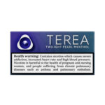 TEREA Twilight Pearl Menthol carton, Italy edition — 10 packs of 20 sticks