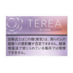 TEREA Fusion Menthol carton, Japan edition — 10 packs of 20 sticks