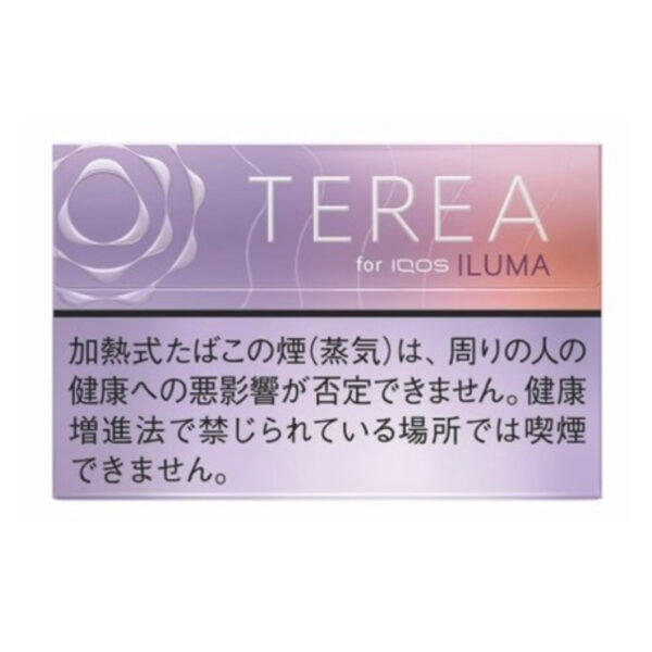TEREA Fusion Menthol carton, Japan edition — 10 packs of 20 sticks