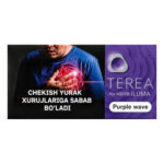 TEREA Purple Wave carton, Uzbekistan edition — 10 packs of 20 sticks