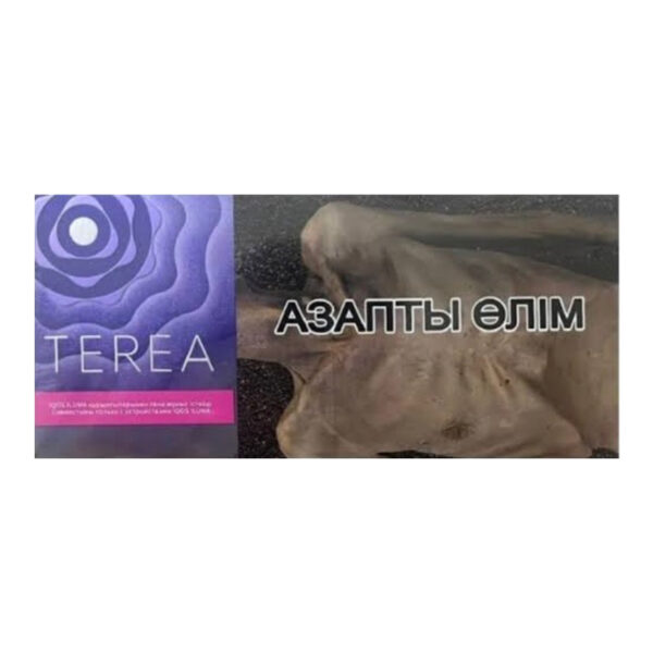 TEREA Twilight Pearl carton, Uzbekistan edition — 10 packs of 20 sticks