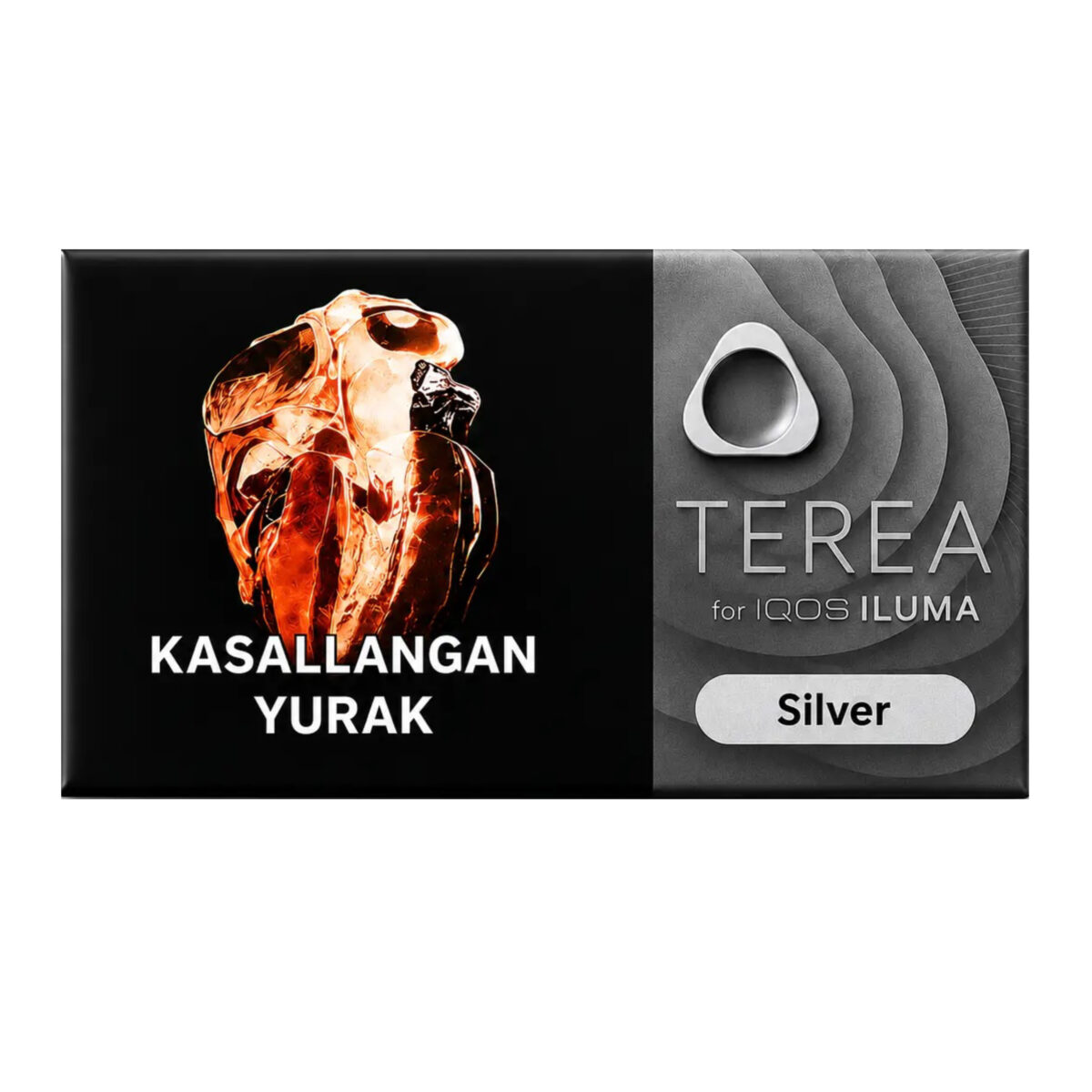 TEREA Silver carton, Uzbekistan edition — 10 packs of 20 sticks