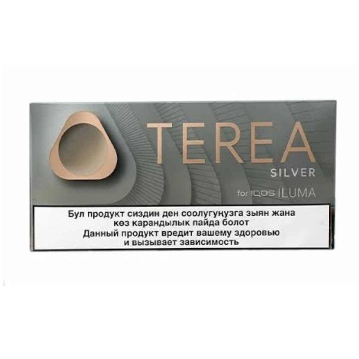 TEREA Silver carton, Kazakhstan edition — 10 packs of 20 sticks