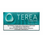 TEREA Turquoise carton, Kazakhstan edition — 10 packs of 20 sticks
