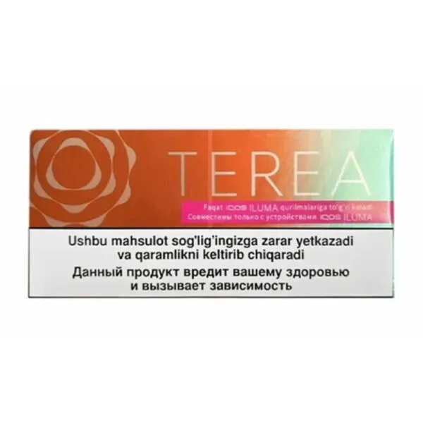 TEREA Summer Wave carton, Kazakhstan edition — 10 packs of 20 sticks