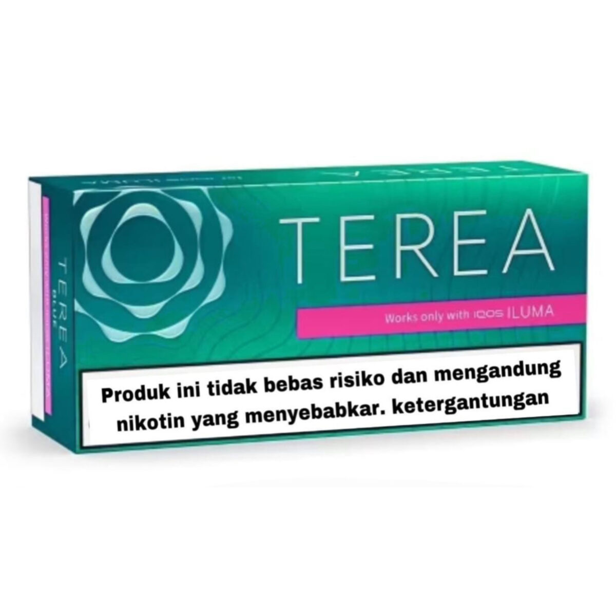 TEREA Black Green carton, Indonesian edition — 10 packs of 20 sticks
