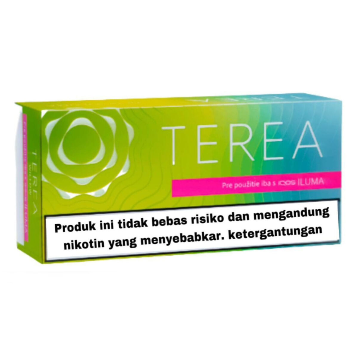 TEREA Bright Wave carton, Indonesian edition — 10 packs of 20 sticks