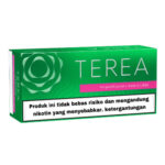 TEREA Green carton, Indonesia edition — 10 packs of 20 sticks
