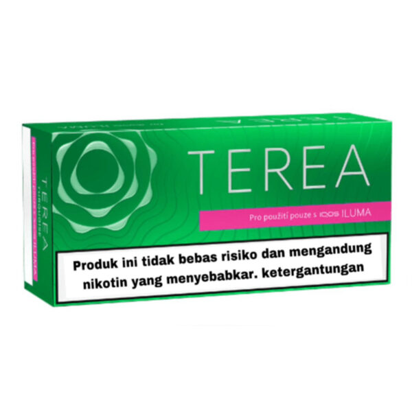 TEREA Green carton, Indonesia edition — 10 packs of 20 sticks